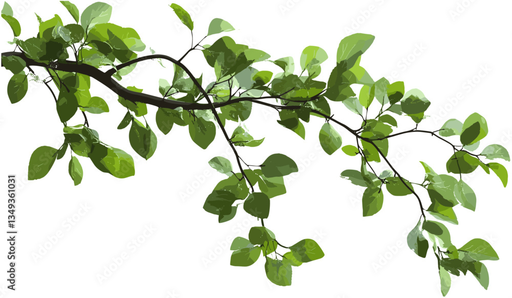 Greenery tree branches leaves cutout png, transparent background, nature foliage, plant leaves, organic branches, eco-friendly design, vector tree elements, lush forest Greenery tree branches leaves cutout png, transparent background, nature foliage, plant leaves, organic branches, eco-friendly design, vector tree elements, lush forest