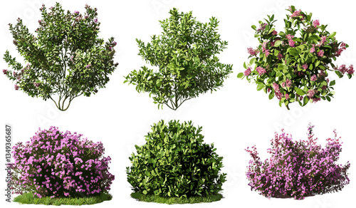 Vector cutout plants trees outdoor flowery shapes, shrubs png file, green foliage, nature elements, garden shrubs, landscaping plants, tropical greenery, tree shapes