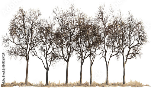 Dry trees vector cutout PNG, row lined landscape, isolated nature silhouette, environmental design, transparent background, tree artwork, outdoor forest scene, nature illustration