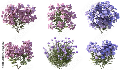 Vector flowers, shrub blossom shapes, botanical designs, floral decoration, nature art, blooming shrubs, colorful floral elements, nature-inspired shapes, garden design