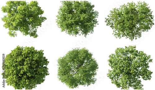 Above view, green trees, canopy collection, forest vector, lush foliage, nature landscape, eco-friendly, vibrant greenery, outdoor scene, healthy trees, green ecosystem