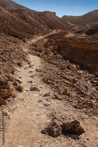 In the area of the Netafim spring near Eilat. 2