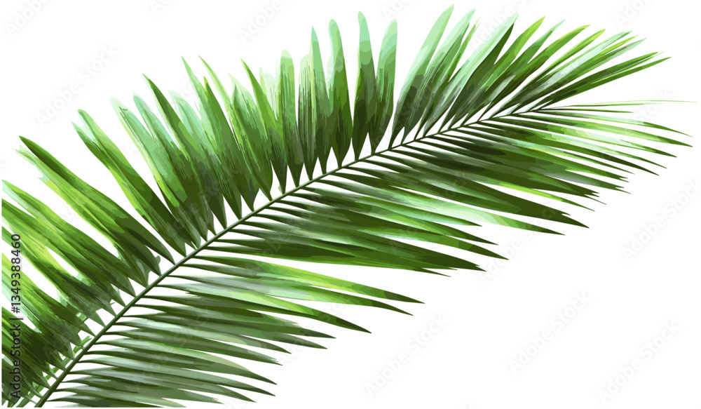 Obraz premium Vector palm leaves transparent background png file, tropical foliage clipart, green jungle leaf, botanical nature element, rainforest flora, exotic plant silhouette, lush greenery, summer