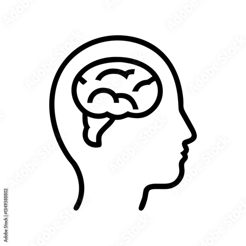 brain