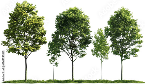 Vector green trees, nature trees set, environmental icons, forest plants, nature design, green forest, tree illustrations, eco-friendly trees, vector nature graphics