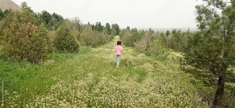 A girl with pigtails in a pink T-shirt walks in the mountains among flowers in a meadow. View from behind. A girl with pigtails in a pink T-shirt walks in the mountains among flowers in a meadow. View from behind.