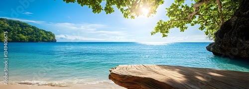 A naturally curved driftwood podium positioned on the right, placed in a peaceful tropical cove.