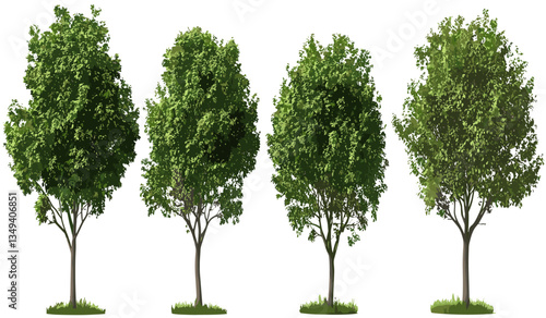 Set of vector parks trees, environmental isolate, nature design, eco-friendly outdoor scene, forest greenery, park landscape, sustainable environment, natural habitat, green eco parks