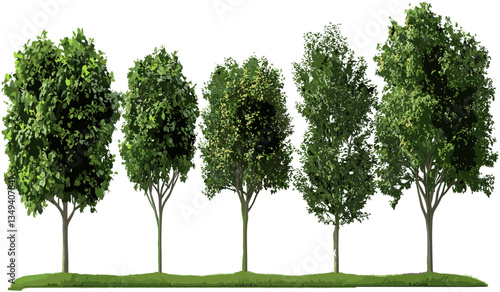 Environmental vector parks trees isolate set, nature landscape, green outdoor scene, eco-friendly, sustainable, natural habitat, forest, greenery, eco parks, environment design