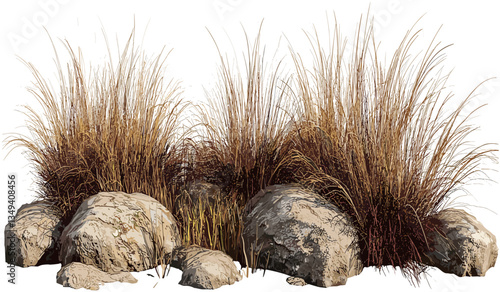 Savanna grass meadow, dry grass, rocks, transparent background, shrubs, isolated, nature landscape, wild terrain, open field, barren land, wilderness, environment, plants, desert