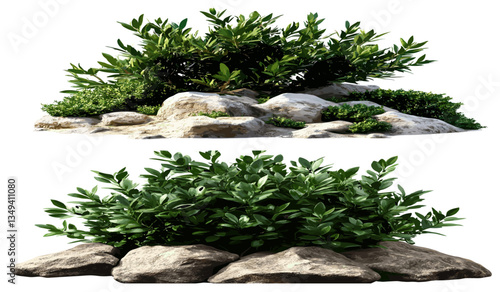 Bush plantation with boulders, isolated environmentally friendly plants, sustainable plantation, nature landscape, green bushes, eco-friendly environment, natural outdoor greenery