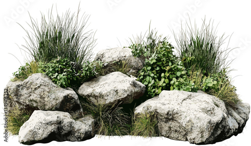 Vector rocks and weeds, grassy landscape, PNG transparent, plant composition, nature background, isolated elements, grass field, outdoor scene, natural landscape