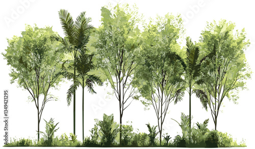 Jungle vector tree shapes, PNG cutout background, tropical foliage, nature trees, transparent backgrounds, forest vector design, tree silhouettes, leaf patterns, jungle design