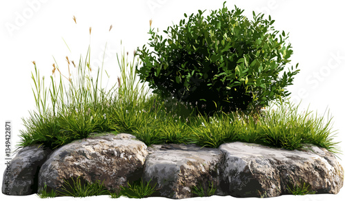 Vector grassy meadow with plants, environmental landscaping, rocky terrain, natural scenery, lush green field, sustainable landscape, wildflowers, vibrant greenery, rural landscape