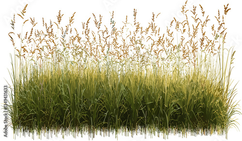 Prairie grass row vector, meadow, PNG cutout, transparent background, wildflowers, nature landscape, summer field, natural, outdoor scene, greenery, spring, eco-friendly