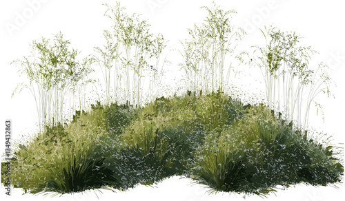 Green meadow, meadow grassy shapes, nature cut out backgrounds, lush grass, wildlife silhouettes, outdoor scenery, summer field, eco-friendly design, natural landscape, tranquil nature.