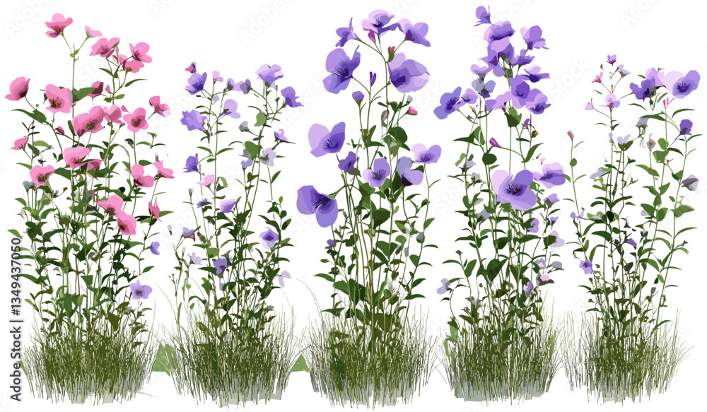 Naklejka premium Vector floral illustrations, naturally blooming flowers set, transparent background png, nature artwork, vibrant spring blooms, botanical designs, colorful flower graphics