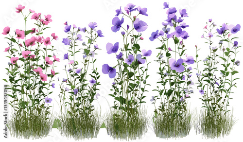 Vector floral illustrations, naturally blooming flowers set, transparent background png, nature artwork, vibrant spring blooms, botanical designs, colorful flower graphics