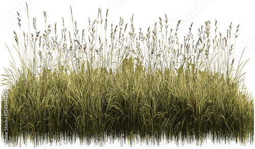 Horizontal row vector meadow grass prairie nature, PNG file, green landscape, summer field, fresh grass, wildflowers, open space, outdoors, peaceful environment, rural scene
