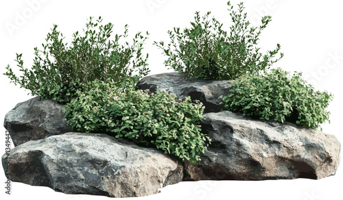 Realistic vector nature design element, rock gardening background, isolate png, garden landscape, rock elements, outdoor garden decoration, nature-inspired design