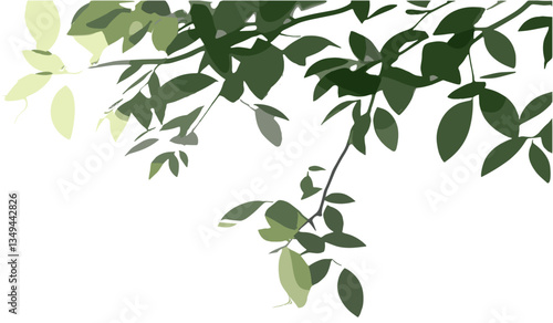 Vector tree branches, nature shadow, sunlight shade, transparent background, foliage silhouette, botanical illustration, eco-friendly design, forest leaves, png, abstract greenery