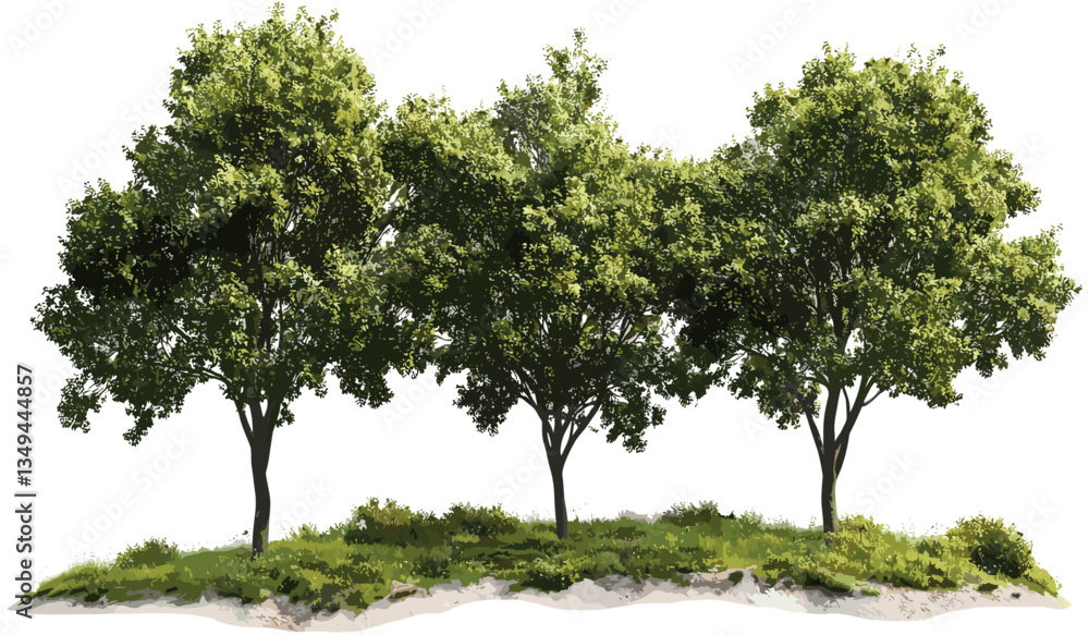 Fototapeta premium Nature trees vector, transparent cut-out shapes, environmental design, forest tree silhouette, nature illustration, natural backgrounds, tree shape icon, outdoor design
