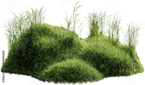 Green grass field transparent PNG, vector cut out grass, nature background, clear grass field, green grass, landscape, fresh grass field, summer grass.