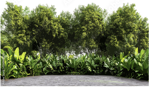 Vector rainforest jungle panorama, cutout landscape PNG, tropical forest background, nature scenery, green trees, exotic foliage, wildlife habitat, natural environment