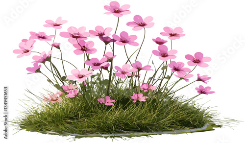 Pink flowers petals on grass, springtime, vibrant spring bloom, nature scene, fresh green grass, floral petals, bright pink petals, spring flowers, blooming garden, outdoor freshness