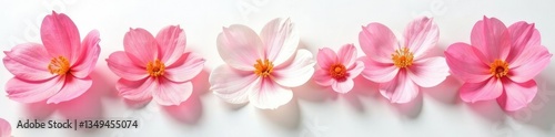 Delicate flower petals unfolding on a white surface, white background, flowers