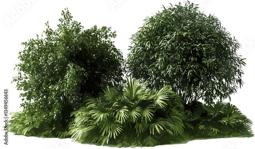 Vector tropics greenish shrubs isolated, transparent background, tropical greenery, realistic leaves, PNG, tropical plants, green foliage, nature illustration, exotic shrubs, fresh greenery