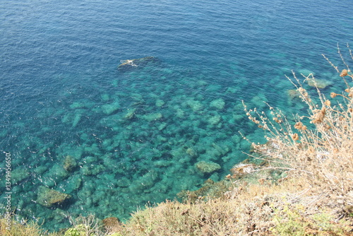 Mer translucide et végétation