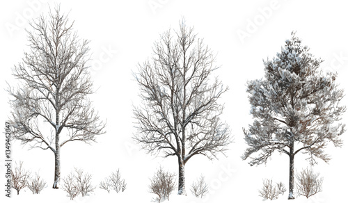 Snow-covered trees shapes, seasonal winter trees, snowy nature scene, frosty tree shapes, winter forest, seasonal trees landscape, winter snow, frozen trees, snow-covered landscape.