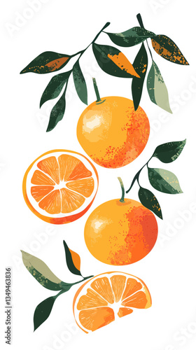 Minimalist Vector Art of Oranges with Leaves in Flat SVG Style for Fresh Produce Designs