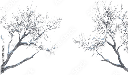 Vector snowy tree branches winter cut out transparent PNG background, wintertime landscape, nature snow-covered trees, seasonal illustration, winter forest design