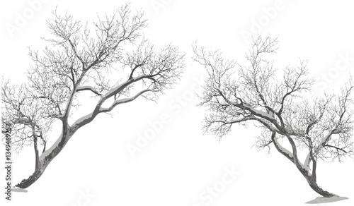 Wallpaper Mural Vector snow-covered branches, winter cut-out PNG, frozen trees, transparent background, nature scene, cold weather elements, seasonal illustration, snowy landscape Torontodigital.ca
