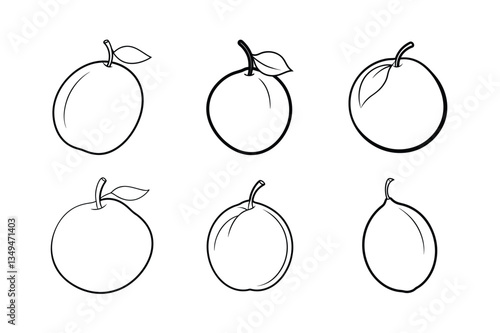 Sapodilla – Manilkara zapota line art vector illustration