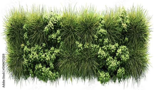 Vector top view farming grassy row png, transparent background, realistic farm field, agriculture landscape, green row, fresh crops, nature design, organic plants, soil texture