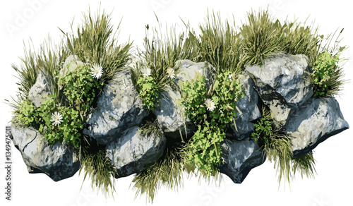 top view grass pasture with flowery rocks, transparent backgrounds, PNG, meadow field, green land, nature landscape, floral ground cover, isolated clipart, spring scenery