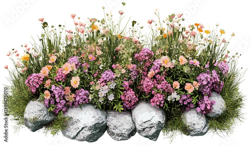 Vector flowers blossoms meadow cutout transparent background illustrations, png, top view, nature design, floral artwork, meadow flowers, spring blooms, garden landscape