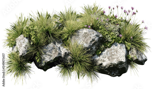 Flowery grass pasture, vector top view, rocks and meadow, transparent backgrounds, PNG, landscape design, green field, natural elements, isolated nature art, springtime illustration