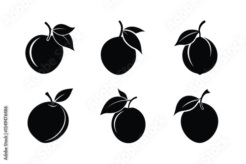 Sapodilla – Manilkara zapota silhouette vector illustration