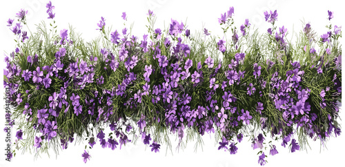 Purple flowery row vector on transparent background png, grassy floral pattern, nature top view, vibrant flowers, spring garden, greenery design, floral seamless, botanical illustration