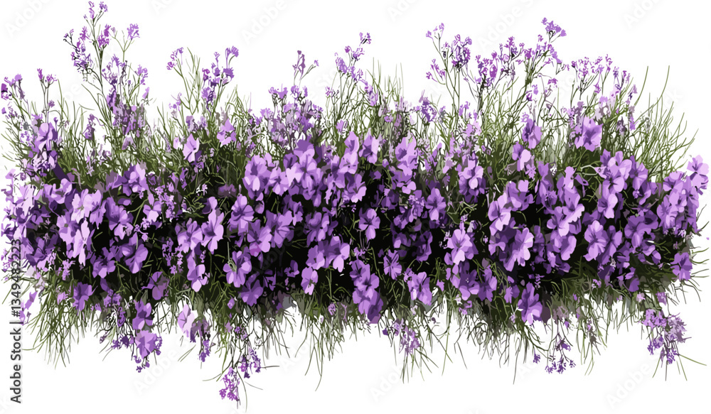 Vector top view of purple flowery grassy row on transparent background png, floral pattern, green grass, vibrant flowers, nature vector, botanical design, spring season Vector top view of purple flowery grassy row on transparent background png, floral pattern, green grass, vibrant flowers, nature vector, botanical design, spring season