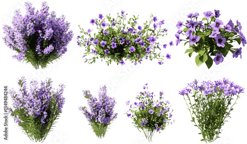 Vector ornamental gardening set violet flowers top view isolate on transparent backgrounds png, flower set, ornamental plants, garden decoration, botanical design, nature elements