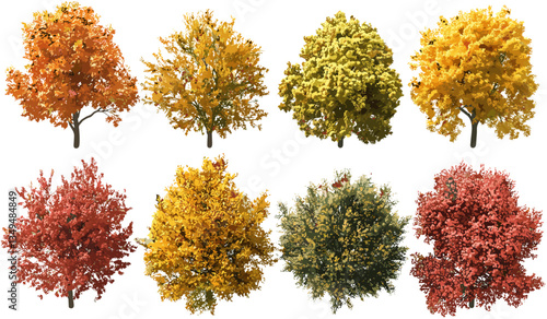 autumn trees, vibrant colors, transparent background PNG, fall foliage, forest canopy, seasonal nature, colorful leaves, autumn trees set, nature PNG, forest scene.