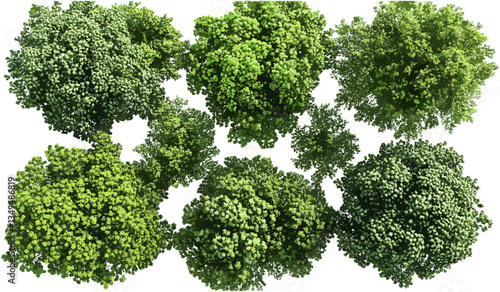 Topview vector greenery landscape trees outside cut out transparent background, png file, nature scene, outdoor scenery, tree silhouettes, green forest, eco-friendly design