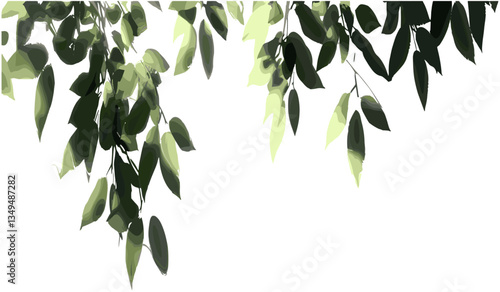 Vector leafy tree branches, sunlight shadow on transparent png, green leaves, natural illustration, tree foliage, outdoor nature, sunlight, tree silhouette, branch design