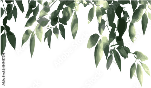 Tree branches vector, leafy branches in sunlight and shadow, transparent background png, nature design, foliage illustration, green leaves, light and shadow, tree silhouette, outdoors