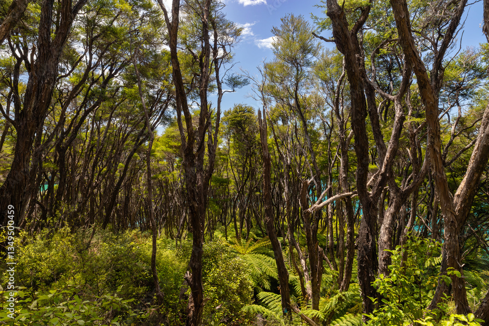 Abel-Tasman-Nationalpark - Coast Track 2 Abel-Tasman-Nationalpark - Coast Track 2